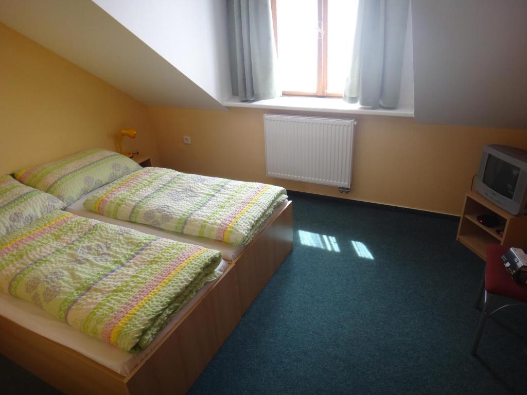Penzion U Bednaru Pavlov Kamer foto