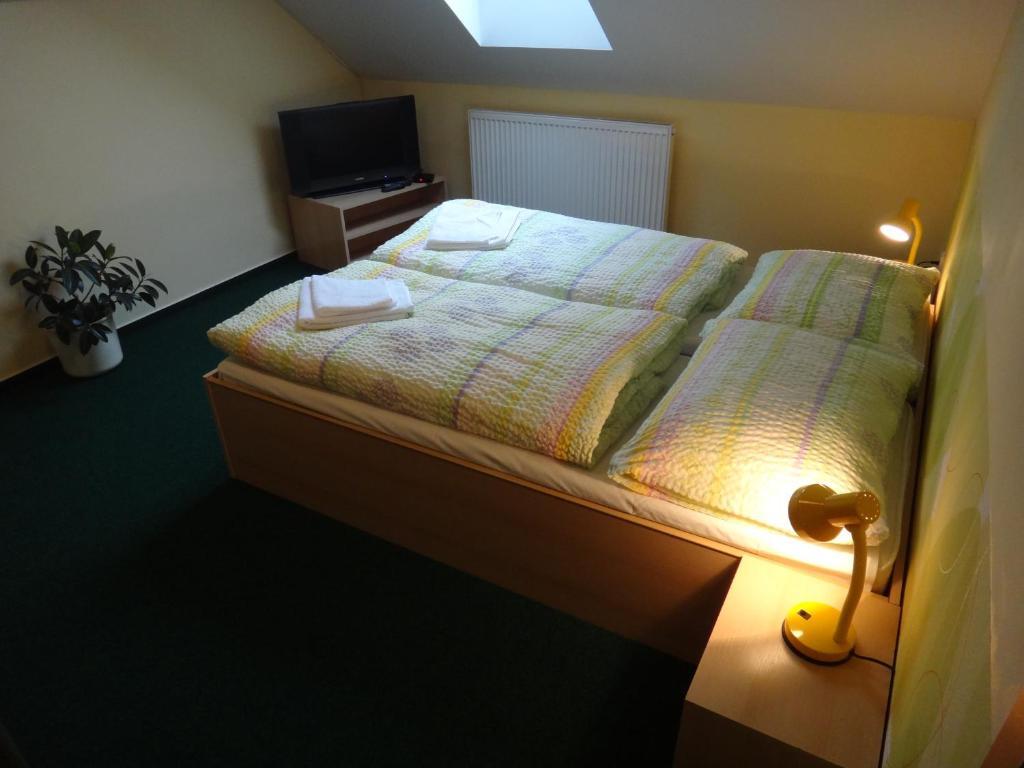 Penzion U Bednaru Pavlov Kamer foto