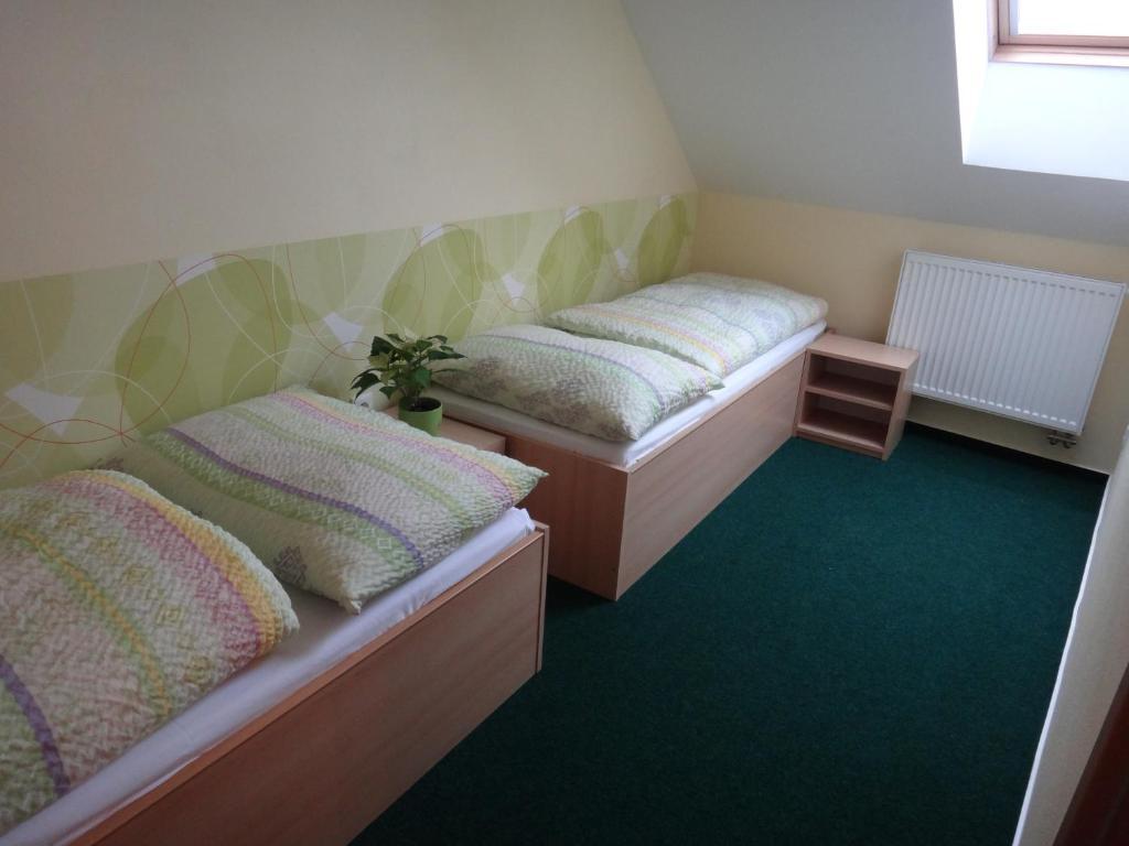 Penzion U Bednaru Pavlov Kamer foto